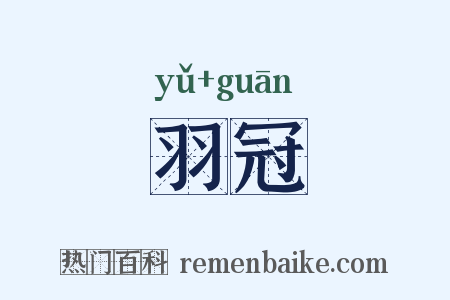 羽冠是什么意思的图片